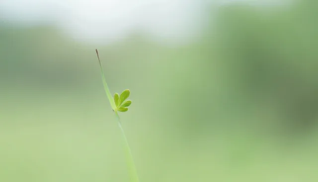 管网工程服务效率提升的5大检查要点